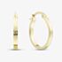 9ct Yellow Gold Flat Patterned Hoop Earrings E-RTSS-21515-9Y