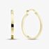 9ct Yellow Gold Flat Hoop Earrings E-RTPS-21520-9Y