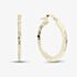 9ct Yellow Gold Medium Patterned Flat Hoop Earrings OR57420