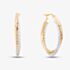 9ct Two Colour Gold Double Hoop Earrings ER947