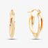 9ct Yellow Gold Double Oval Hoop Earrings ER383