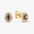 Yellow Gold Tone Sterling Silver Purple Cubic Zirconia Halo Stud Earrings 041-73860/GP