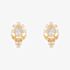 V Jewellery Roma Gold Plated Stud Earrings 3212