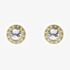 Ted Baker SOLETIA Gold Tone Plated Crystal Halo Stud Earrings TBJ3698-02-02