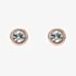 Ted Baker SINAA Rose Gold Tone Mini Crystal Stud Earrings TBJ3124-24-02