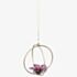 Swarovski Large Garden Tales Hibiscus Ball Ornament 5619233
