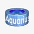 Notch Zodiac Aquarius Blue Charm 00133-TU