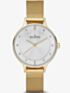 Skagen Ladies Anita Gold Plated Bracelet Watch SKW2150