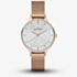 Skagen Ladies Anita Rose Gold Plated Bracelet Watch SKW2151