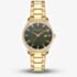 Ted Baker Mens Leytonn Gold & Green Watch BKPLTS4039I