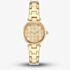 Ted Baker Gold Watch BKPJLF4019I