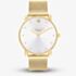 Coach Ladies Elliot Gold Tone Mesh Bracelet Watch 14504208
