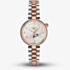 Tissot Ladies Desir Silver Moonphase Dial Two Tone Stainless Steel Bracelet Watch T152.223.22.036.00