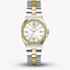 Guess Ladies Empress Two Tone Bracelet Watch GW1095L3