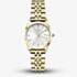 ROSEFIELD Ladies Ace XS White Dial Golden Bracelet Watch ASGSG-A15