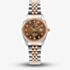 Jacques du Manoir Ladies Inspiration Elegance Brown Dial Two Tone Stainless Steel Bracelet Watch JWL01202
