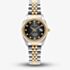 Jacques du Manoir Ladies Inspiration Elegance Black Dial Two Tone Stainless Steel Bracelet Watch JWL01207