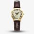 Jacques du Manoir Ladies Genesis Gold Dial Brown Leather Strap Watch JWL04904