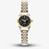 Jacques du Manoir Ladies Mini Inspiration Black Mother of Pearl Dial Two Tone Bracelet Watch JWL05105