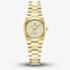 Jacques du Manoir Ladies Horizon Gold Dial Bracelet Watch JWL05604