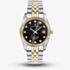 Jacques du Manoir Ladies Inspiration Elegance Black Dial Two Tone Bracelet Watch NRO.19