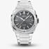 Alpina Mens Extreme Automatic Stainless Steel Bracelet Watch AL-525G4AE6B