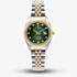 Jacques du Manoir Ladies Inspiration Elegance Two Tone Green Dial Watch JWL01206