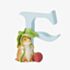 Peter Rabbit Decorative Timmy Willie Letter F A4998