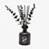 Disney Nightmare Before Christmas Diffuser Gift DI2327