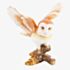 Treasured Trinkets Owl Trinket Box 14807