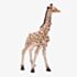 Treasured Trinkets Giraffe Trinket Box 15793
