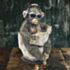 Animals With Attitude Loo Time Gorilla Ornament LP75658A