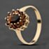 Pre-Owned 9ct Yellow Gold Garnet Oval Cluster Ring 41104108