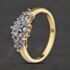 Pre-Owned 9ct Yellow Gold Tanzanite & 0.10ct Diamond Triple Cluster Ring 41104504