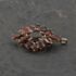 Pre-Owned 9ct Yellow Gold Garnet Oval Marquise Cluster Design Brooch 41131149
