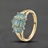 Pre-Owned 9ct Yellow Gold Blue Apatite & 0.02ct Diamond Cluster Ring 41384135