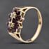 Pre-Owned 9ct Yellow Gold Ruby & Diamond Double Cluster Ring 41384266