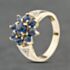 Pre-Owned 9ct Yellow Gold Sapphire & 0.12ct Brilliant Cut Diamond Flower Cluster Ring 41482573