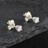 Pre-Owned 9ct White Gold 0.25ct Brilliant Cut Diamond Single Stone Stud Earrings 43171339