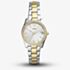 Fossil Ladies Scarlette Mini Two Tone Bracelet Watch ES4319