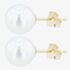 9ct 7.5 x 8mm Akoya Pearl Stud Earrings EOZ108PL
