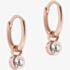 Ted Baker SINALAA Rose Gold Tone Crystal Huggie Earrings TBJ3028-24-02