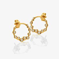 Hot Diamonds Golden Edit Tender Wreath Stud Earrings DE894