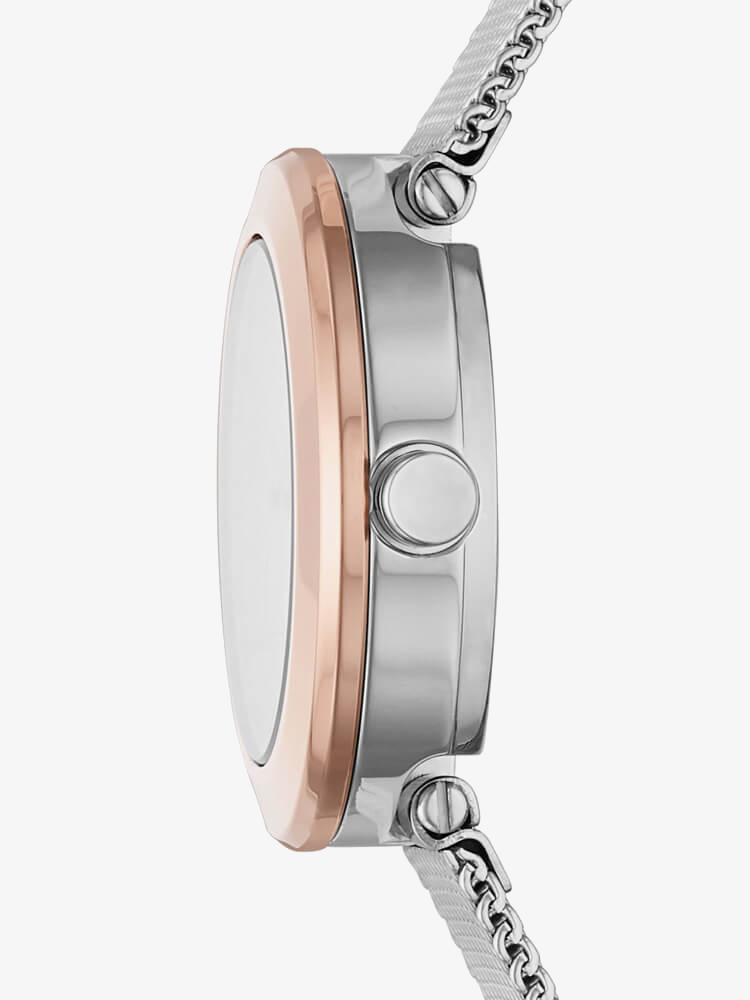 DKNY Ladies Sasha Watch NY2975