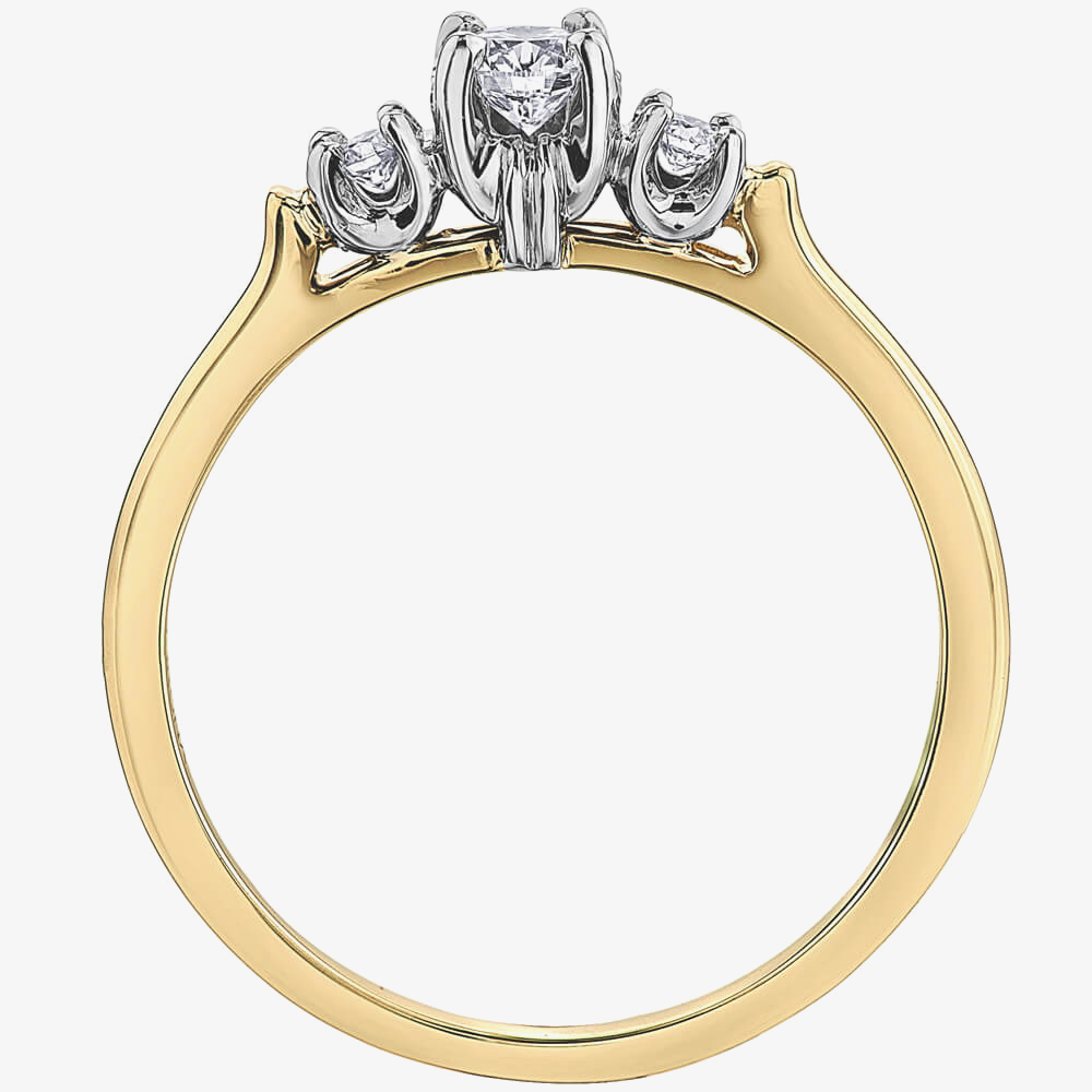 9ct Two Colour Gold 0.25ct Diamond Ring 2030YW/25-10