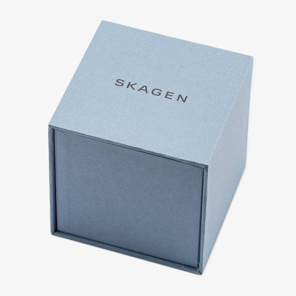 Skagen Mens Holst Strap Watch SKW6086