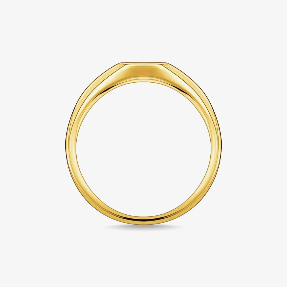 THOMAS SABO Gold Plated Oval Cubic Zirconia Pavé Ring TR2315-414-14