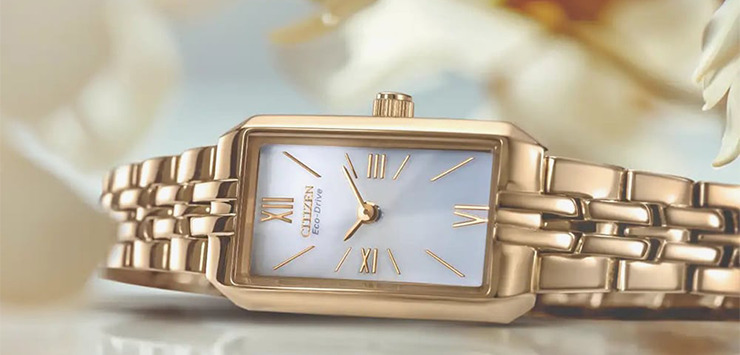 Citizen Eco Drive