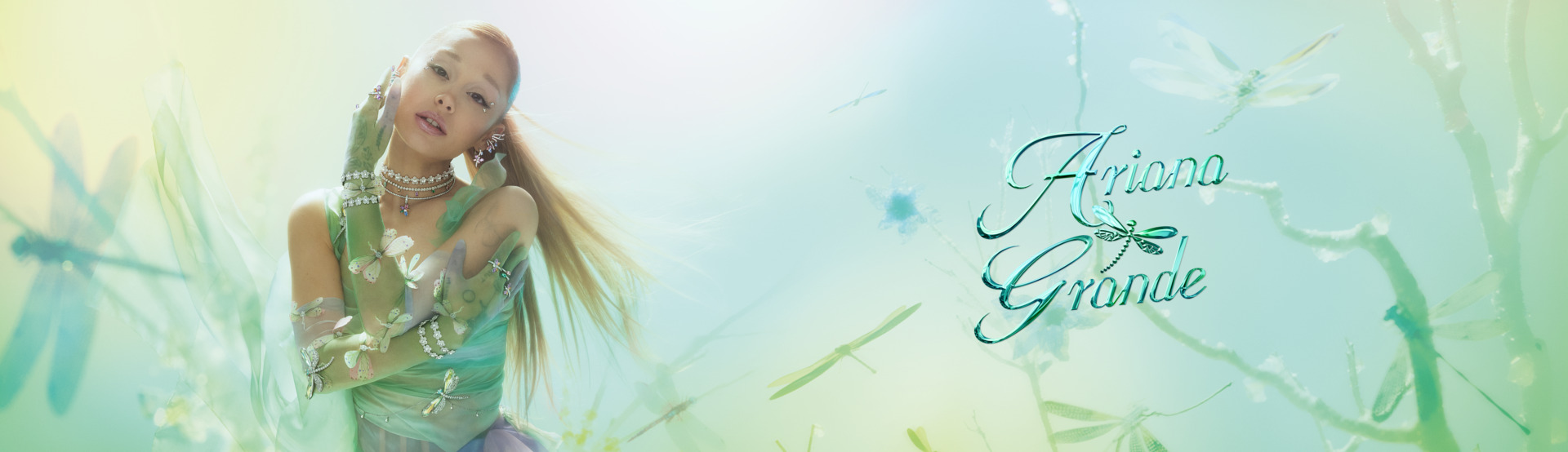 Swarovski Ariana Grande