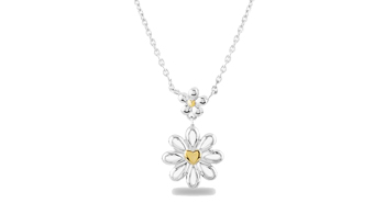 Rosa Lea Daisy